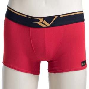 RV Boxer